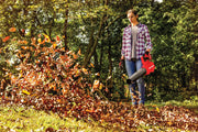 Person using CRAFTSMAN CMCBL720M1 cordless leaf blower in a yard, moving autumn leaves; outdoor setting.