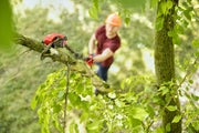 Photo of CRAFTSMAN pole saw SKU CMCPS630D1 cutting a tree branch outdoors, worker visible in background.