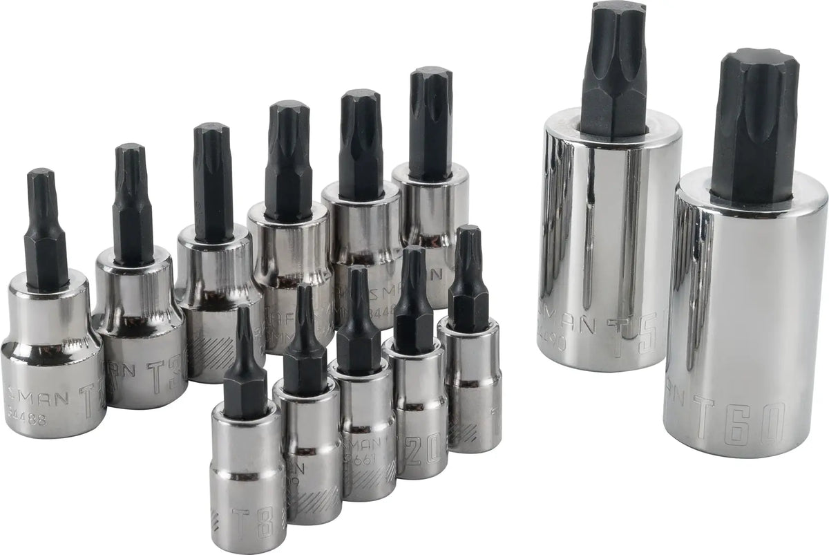 Craftsman chrome Torx bit socket set CMMT49294, 14 pieces, front angle on white background.